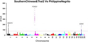 使用XP-CLR检测基因组中的选择信号-实验盒