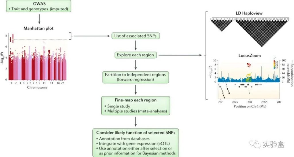 图片[1]-FINEMAP：使用GWAS摘要数据进行无功能注释数据的精细定位（Fine-mapping） - 生物信息-实验盒