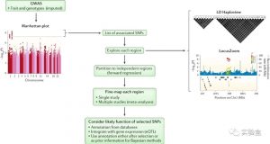 FINEMAP:使用GWAS摘要数据进行无功能注释数据的精细定位(Fine-mapping)-实验盒