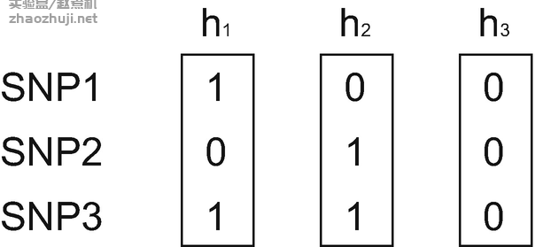 基于RAINBOW的单倍型全基因组关联分析（haplotype-based GWAS）教程 --实验盒