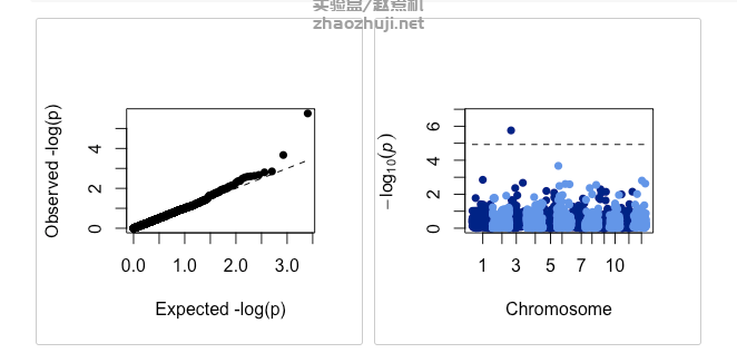图片[2]-基于RAINBOW的单倍型全基因组关联分析（haplotype-based GWAS）教程 --实验盒