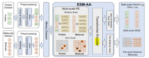 ICML 2024｜用于统一分子建模的多尺度蛋白质语言模型ESM-AA-实验盒