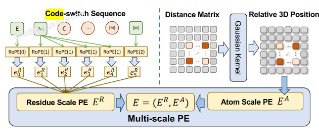 图片[3]-ICML 2024｜用于统一分子建模的多尺度蛋白质语言模型ESM-AA --实验盒